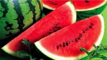 10 أسباب صحية ستجعلك تأكل البطيخ في فصل الصيف
