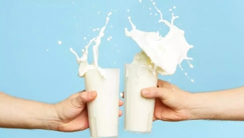 نصائح غير علمية شائعة.. كيف وقعنا في فخ أهمية الحليب والجزر؟