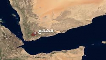 مدير شرطة الضالع يمنع صرف رواتب الجنود عبر مصرف الكريمي
