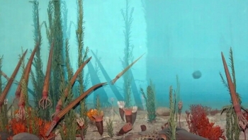 نقص الأكسجين في مياه المحيطات ينذر بانقراض جماعي جديد