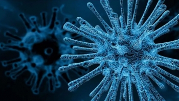 الصحة العالمية تعلق نشاط موظفيها في مناطق سيطرة الحوثيين