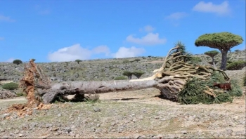 سقطرى.. مواطنون غاضبون يحتجزون المندوب الإماراتي "الكعبي" والانتقالي يتدخل للإفراج عنه