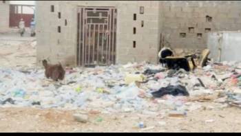 سقطرى..  الانتقالي يعبث بمؤسسات الدولة و شوارع وأحياء حديبو أصبحت مكب نفايات