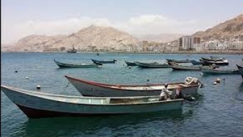 المهرة ..هيئة المصائد السمكية تنفذ حملة لضبط المخالفين من الصيادين للمتورطين في صيد صغار الشروخ
