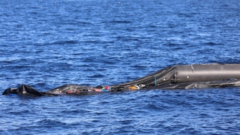 مصرع 50 مهاجرا يمنيا جراء تحطم قارب قبالة شاطئ جيبوتي