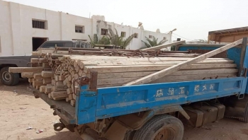 المهرة .. بحث مديرية الغيضة يضبط سارقاً لأخشاب البناء