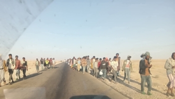 وصول المئات من المهاجرين الأفارقة إلى شبوة عبر قوارب تهريب