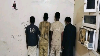 أمن شحن بالمهرة يضبط أربعة متهمين في حملة استهدفت أوكار ترويج المخدرات والشبو