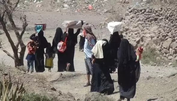 منظمة الهجرة: حوالي 3.65 مليون يمني نزحوا داخلياً بسبب النزاع
