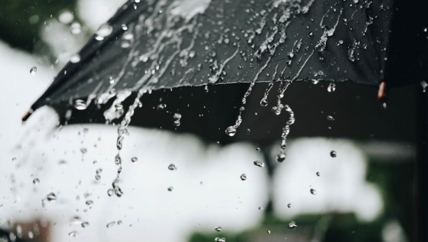 ما هو مصدر الرائحة المألوفة للمطر؟