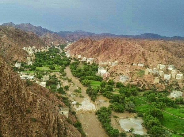 أمن شبوة يستعيد مبانٍ حكومية كان يحتلها متنفذون في مديرية نصاب