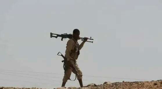 قتلى وجرحى حوثيون وتدمير آليات في هجوم لقوات الجيش بجبهة نهم شرقي صنعاء
