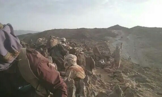البيضاء.. الجيش الوطني يحرر مواقع جديدة ويكبد الحوثيين خسائر فادحة