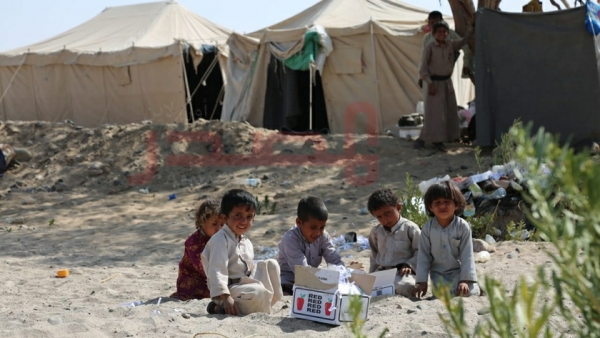 "الهجرة الدولية": نزوح 334 أسرة في محافظة مأرب خلال أسبوع بسبب تصاعد القتال