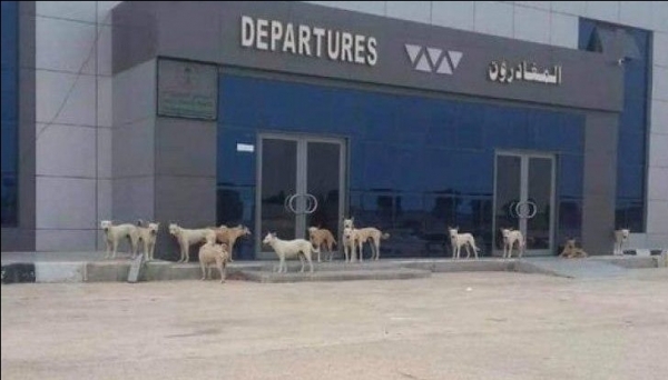 الحكومة تصدر توجيهات بفتح المطارات المغلقة و تتجاهل مطار الغيضة الخاضع لسيطرة القوات السعودية