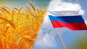 السفارة الروسية تعلن عن وصول  1500 طن من الحبوب إلى اليمن