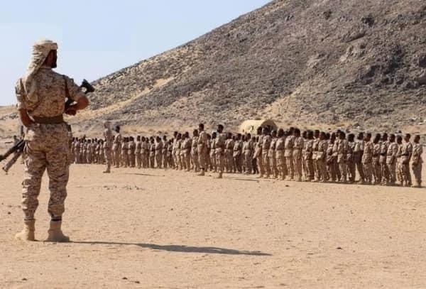 المهرة .. تحركات مشبوهة لتوسيع قوة "درع الوطن" عبر تجنيد عناصر من خارج المحافظة المهرة .. تحركات مشبوهة لتوسيع قوة "درع الوطن" عبر تجنيد عناصر من خارج المحافظة
