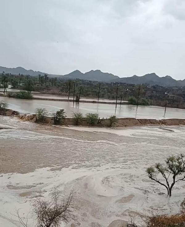 تعز .. 9 وفيات وعشرات العالقين إثر سيول جارفة تضرب مديريات الساحل