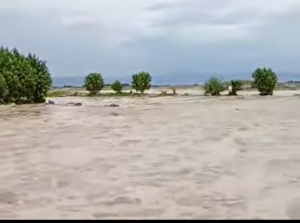 سيول جارفة تجتاح ريف المخا وتخلف ضحايا ومفقودين وأضراراً مادية بالغة