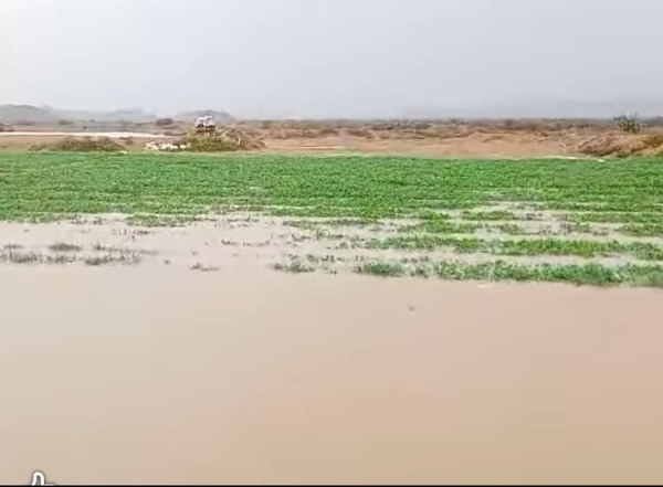 شبوة.. وفاة طفلة غرقاً في مجرى للسيول بمديرية رضوم