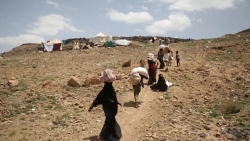 اليمن في زمن الحرب.. إغاثة محدودة وضحايا دون حدود