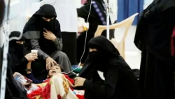 منظمة "انقذوا الطفولة": 78 طفلا توفوا بحمى الضنك في اليمن خلال الأشهر الماضية