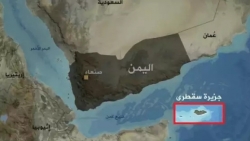 الإمارات تنشر خلايا مسلحة في مركز محافظة سقطرى لتنفيذ مخططات عدائية