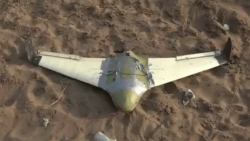 الجيش يسقط طائرة مسيرة للحوثيين جنوبي الحديدة