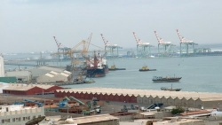 جبايات مالية فرضها مسلحون موالون للامارات توقف العمل في ميناء عدن