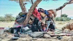 مفوضية اللاجئين: نزوح 1120 أسرة من مديرية "خب والشعف" بمحافظة الجوف جراء القتال