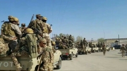 القوات الحكومية تتقدم شرق زنجبار ومليشيات الانتقالي تدفع بتعزيزات عسكرية من عدن