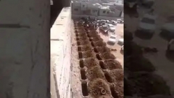 وزارة الصحة: ارتفاع الوفيات في عدن بسبب كورونا وعجز المؤسسات الصحية