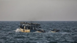 مركز حقوقي: إسرائيل تدمر قطاع الصيد البحري بغزة