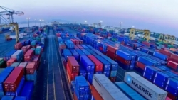لجنة حكومية تبدأ التحقيق في مزاعم وجود 130 حاوية من نترات الأمونيوم في ميناء عدن