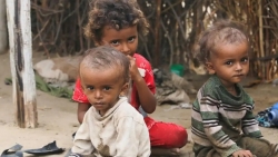"هيومان أبيل": نداء إغاثة عاجل لاستعادة اليمن السعيد