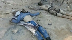 مئات القتلى والجرحى.. الجيش الوطني يكشف حصيلة خسائر مليشيات الحوثي خلال أسبوع