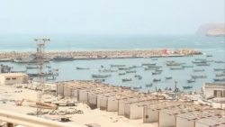 القوات السعودية تحظر الصيد في ساحل ضبوت بالمهرة