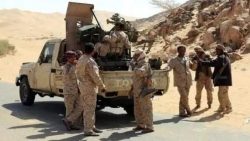 مقتل وأسر عشرات الحوثيين والجيش يحرر مناطق في نهم والجوف