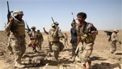قوات الجيش تسيطر على مواقع هامة في جبهة المخدرة ومصرع عشرات الحوثيين