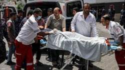 غزة ..الصحة الفلسطينية تحذر من كارثة وبائية بقطاع غزة