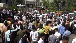 تعز ..طلاب الجامعات يتضامنون مع الشعب الفلسطيني والمحتجين في الجامعات الأمريكية