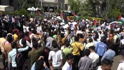 تعز .. طلاب الجامعات يتضامون مع منتسبي الجامعات الغربية الذين يتضامنون مع غزة