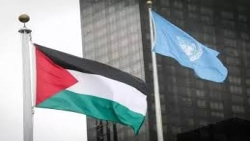 اليمن ترحب بدعم حق فلسطين في الحصول على العضوية الكاملة بالأمم المتحدة