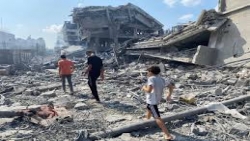 غزة .. مجازر دموية لا تتوقف وحصيلة شهداء تتجاوز الـ35 ألفا